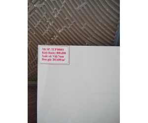 GẠCH MEN TCP80001