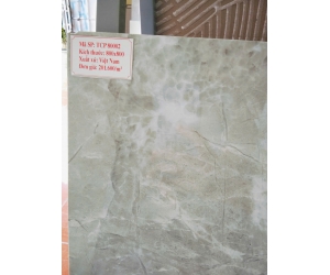 GẠCH MEN TCP80002