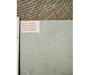 GẠCH MEN TCP90019